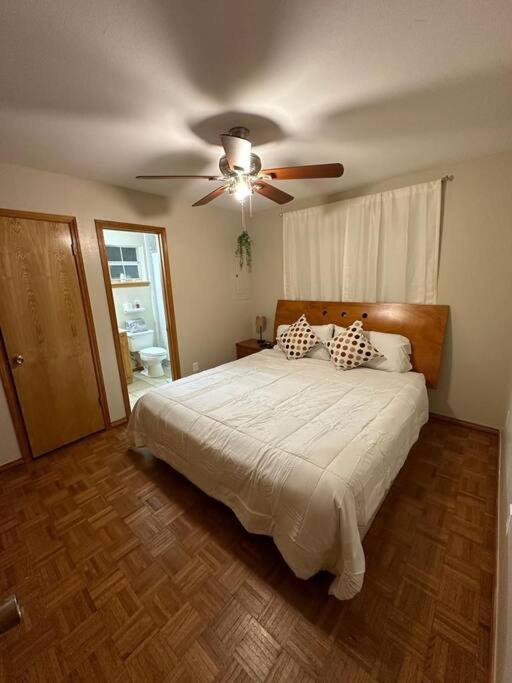 Mcallen 4Br With Pool, Shopping & More Екстер'єр фото