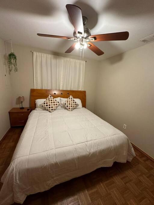Mcallen 4Br With Pool, Shopping & More Екстер'єр фото